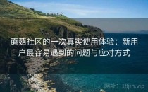 蘑菇社区的一次真实使用体验：新用户最容易遇到的问题与应对方式