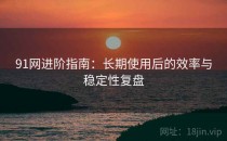 91网进阶指南：长期使用后的效率与稳定性复盘