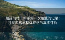 蘑菇网站｜新手第一次接触的记录：视觉风格与整体观感的真实评价