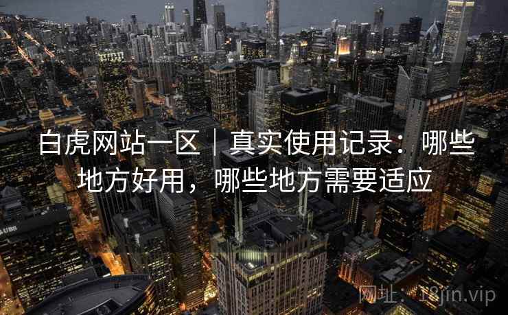 白虎网站一区｜真实使用记录：哪些地方好用，哪些地方需要适应  第1张