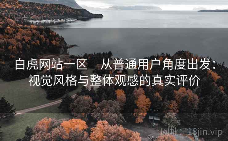 白虎网站一区|从普通用户角度出发:视觉风格与整体观感的真实评价 第2张 白虎网站一区|从普通用户角度出发:视觉风格与整体观感的真实评价 第2张