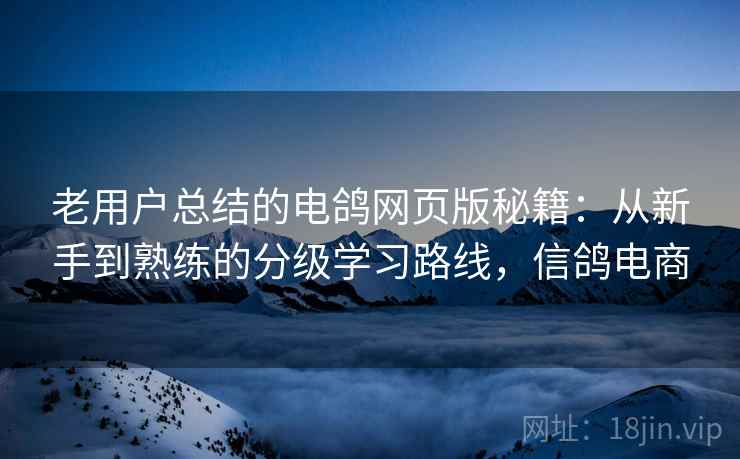 老用户总结的电鸽网页版秘籍：从新手到熟练的分级学习路线，信鸽电商  第2张