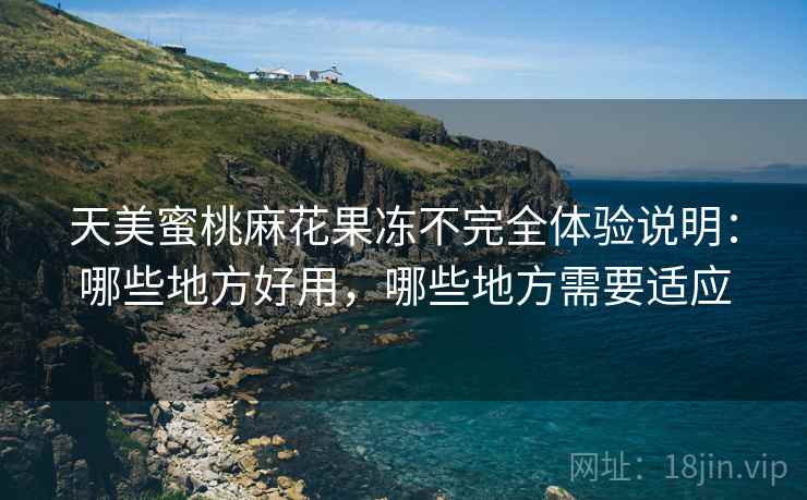 天美蜜桃麻花果冻不完全体验说明：哪些地方好用，哪些地方需要适应  第2张