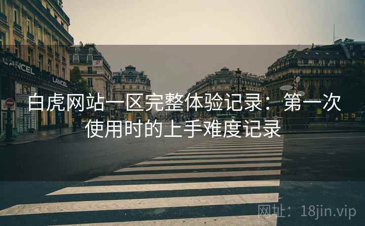 白虎网站一区完整体验记录：第一次使用时的上手难度记录  第2张