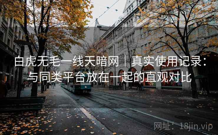 白虎无毛一线天暗网｜真实使用记录：与同类平台放在一起的直观对比  第2张