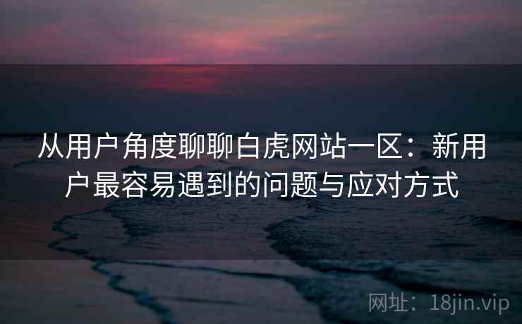 从用户角度聊聊白虎网站一区：新用户最容易遇到的问题与应对方式  第2张