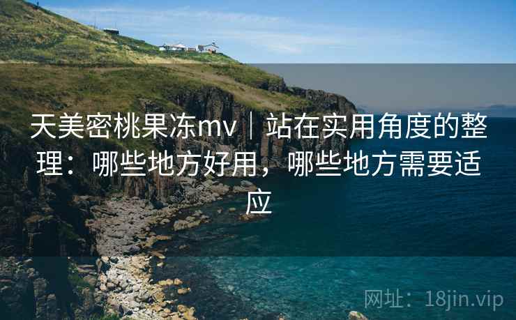 天美密桃果冻mv｜站在实用角度的整理：哪些地方好用，哪些地方需要适应  第2张