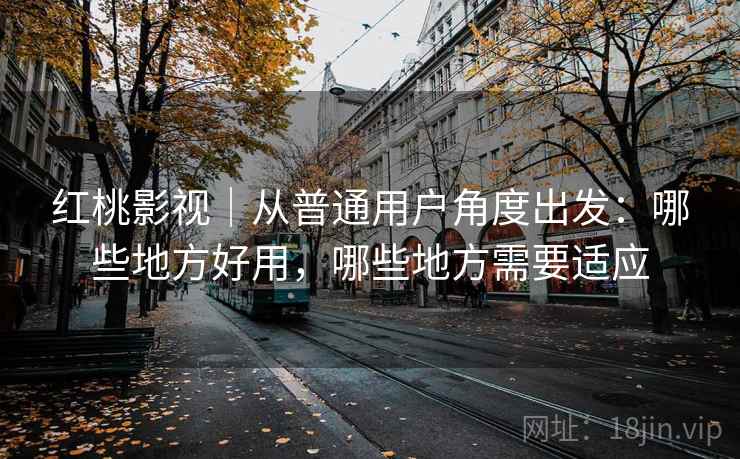 红桃影视｜从普通用户角度出发：哪些地方好用，哪些地方需要适应  第1张