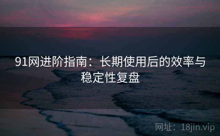 91网进阶指南：长期使用后的效率与稳定性复盘  第2张