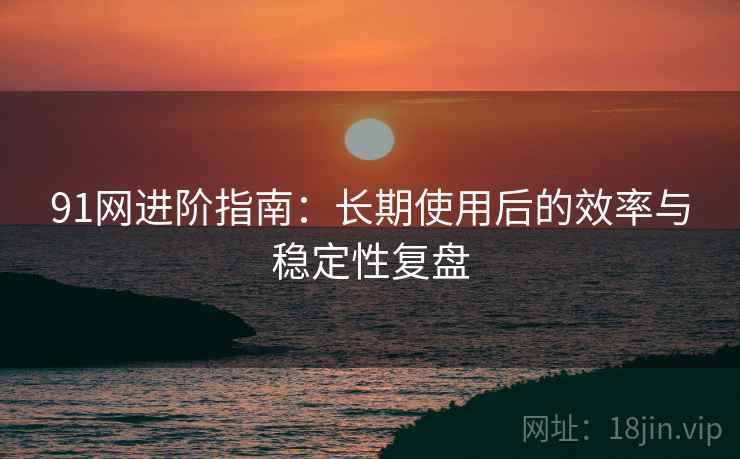91网进阶指南：长期使用后的效率与稳定性复盘  第1张