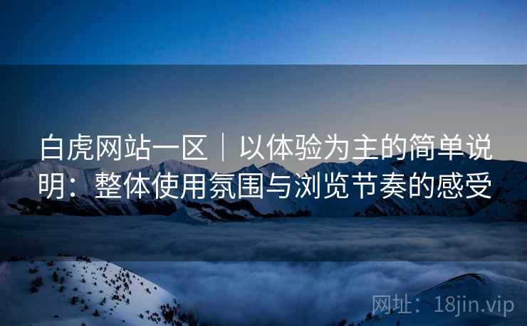 白虎网站一区｜以体验为主的简单说明：整体使用氛围与浏览节奏的感受  第1张